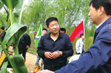 為民務(wù)實(shí)清廉的好干部