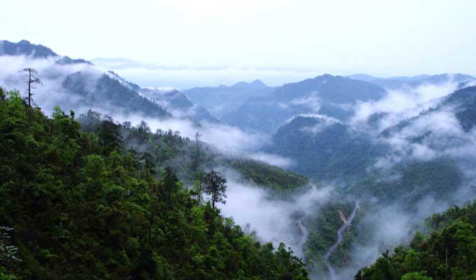 廣東乳源、廣東乳陽林場、云南華寧葫蘆口電站