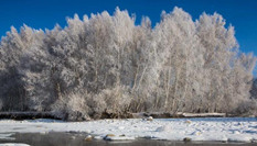 沖乎爾：&ldquo;雪樹銀花&rdquo;童話鎮(zhèn)