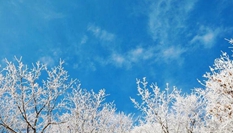 湖北?？蹈呱届F凇美如畫