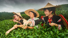 海南&ldquo;綠色娘子軍&rdquo;植樹(shù)26載萬(wàn)畝沙丘變綠洲