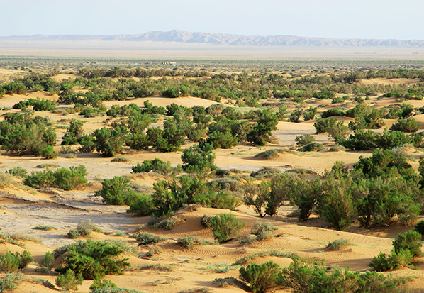 【長(zhǎng)篇通訊】塞罕壩，京城綠色屏障的前世今生