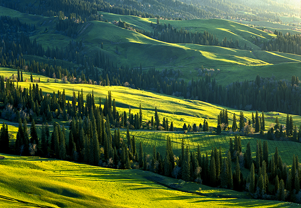 【長(zhǎng)篇通訊】塞罕壩，京城綠色屏障的前世今生