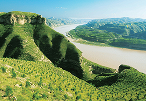 張建龍：&ldquo;三北工程&rdquo;實(shí)現(xiàn)生態(tài)、經(jīng)濟(jì)、社會(huì)效益&ldquo;多贏&rdquo;