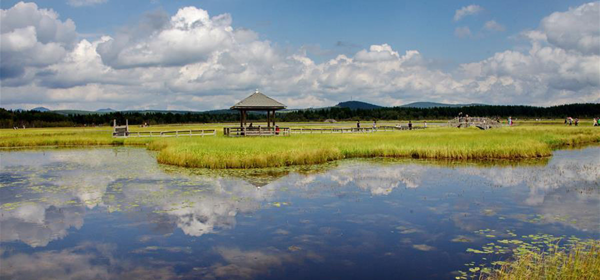 那一抹綠色，走進(jìn)越來(lái)越多人心里&mdash;&mdash;河北塞罕壩續(xù)寫(xiě)新時(shí)代綠色傳奇