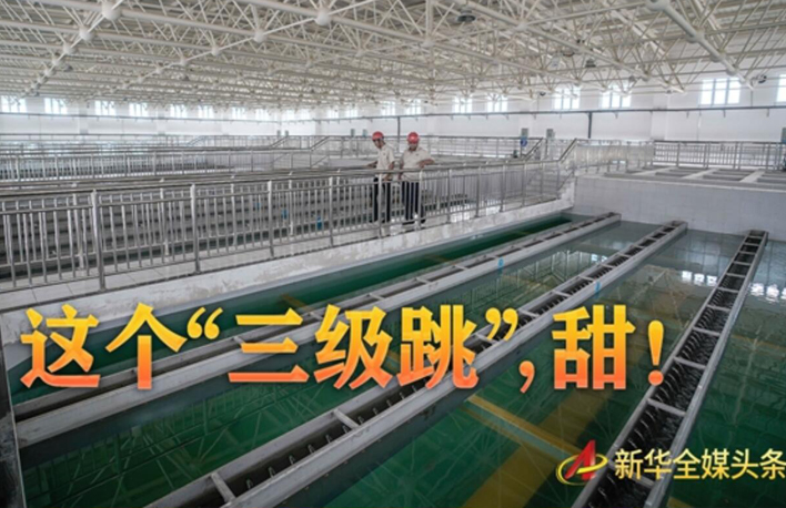 這個&ldquo;三級跳&rdquo;，甜！