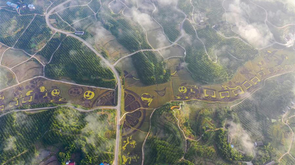 百城千縣萬村調(diào)研行｜在三峽橘鄉(xiāng)，遇見最美的田園時光！