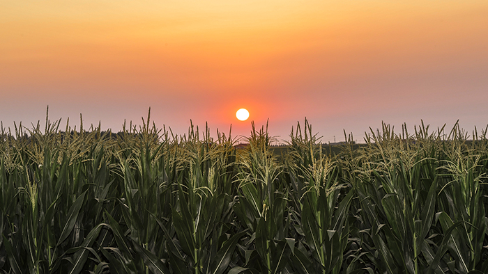 風(fēng)卷紅旗過大關(guān)&mdash;&mdash;以習(xí)近平同志為核心的黨中央領(lǐng)航中國為實現(xiàn)第一個百年奮斗目標而奮勇拼搏紀實