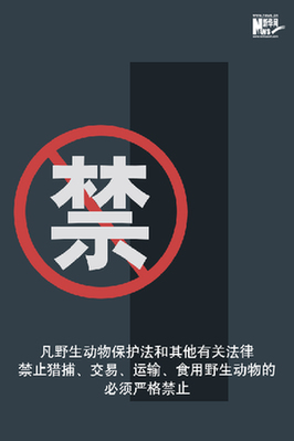向非法野生動物交易、濫食野生動物陋習(xí)亮劍
