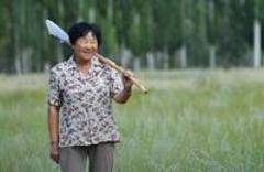 與沙漠的&ldquo;三十年戰(zhàn)爭(zhēng)&rdquo;