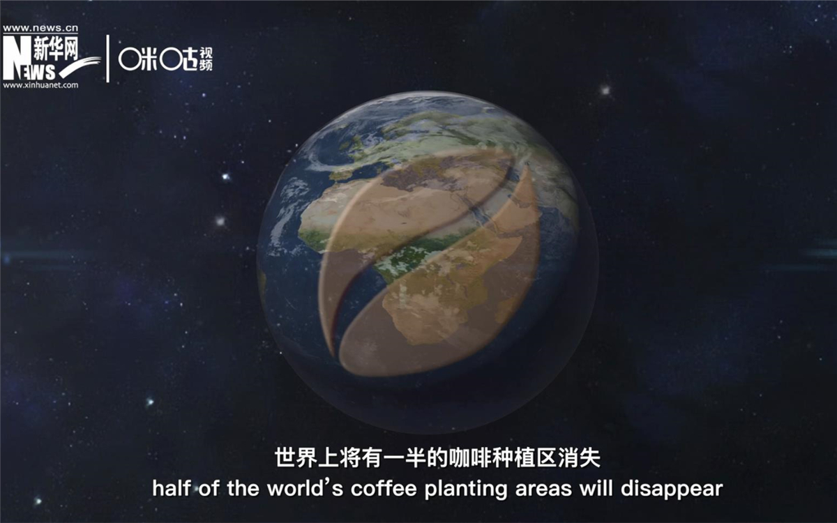 科學(xué)家預(yù)測到三十年后，世界上將有一半的咖啡種植區(qū)消失