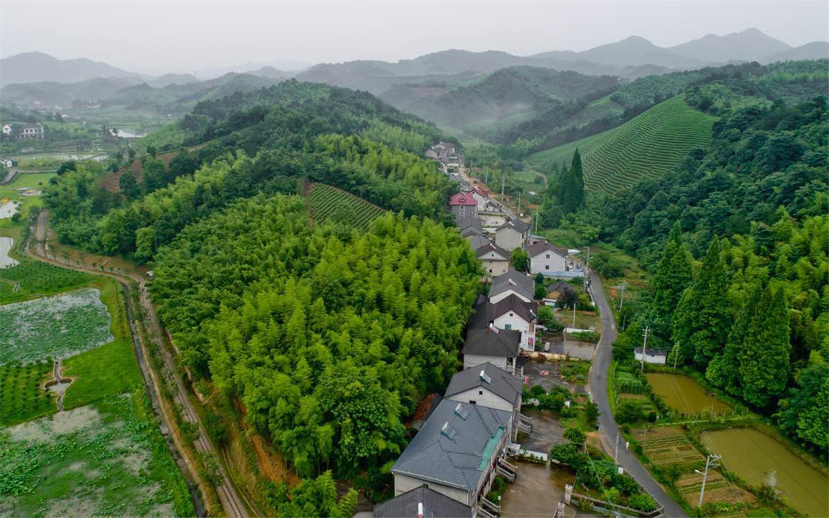 從2003年起，浙江省開展了&ldquo;千村示范、萬村整治&rdquo;工程