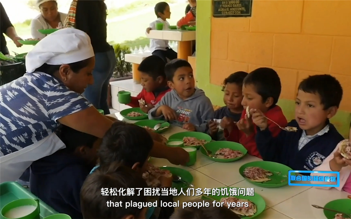 藜麥的蹤跡遍布北美、歐洲、亞洲和非洲多地