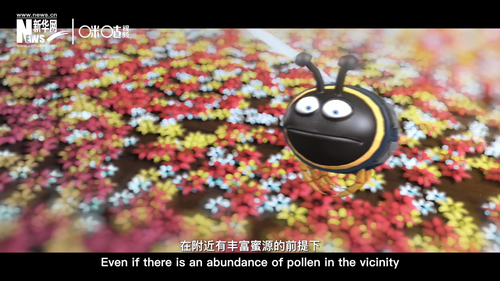 你知道一只蜜蜂采一公斤蜜有多辛苦嗎？據(jù)統(tǒng)計(jì)，在附近有豐富蜜源的前提下，一只蜜蜂大約需要飛行四萬千米