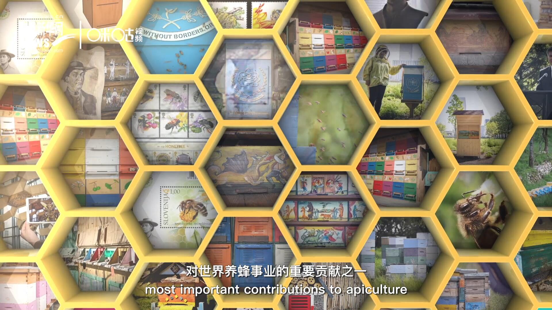 他開始用色彩豐富的畫作來裝飾蜂巢的前板，幫助不同蜂群按照習(xí)性和顏色順利找到自己的蜂巢