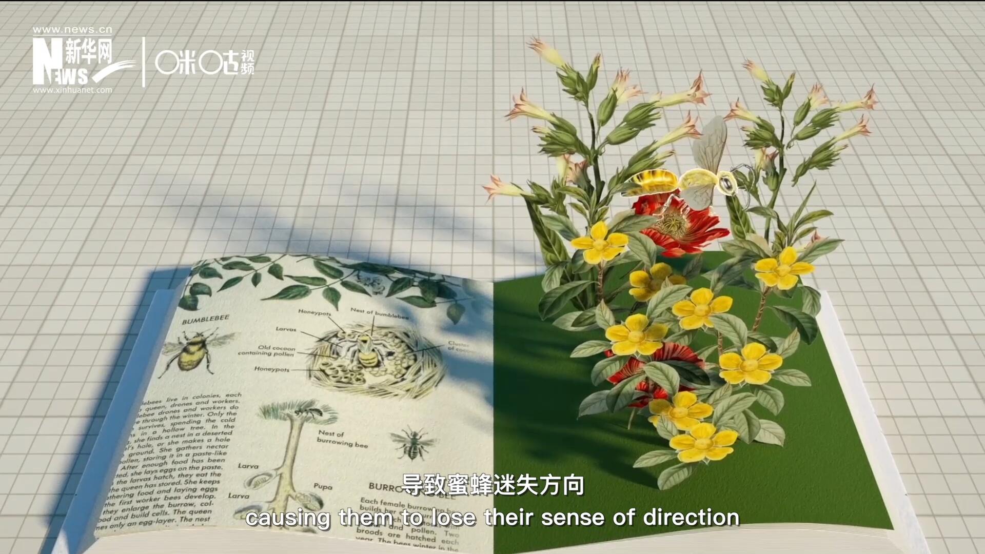 殺蟲劑會(huì)破壞蜜蜂的神經(jīng)系統(tǒng)，導(dǎo)致蜜蜂迷失方向，無法回到蜂房，還會(huì)降低蜜蜂的抵抗力