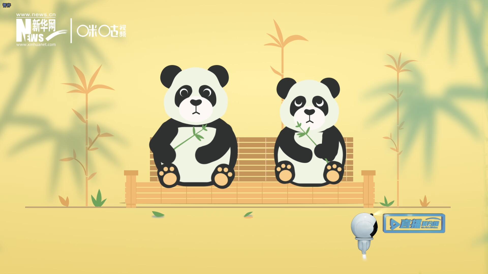 &ldquo;哥哥你看，又有人來看我們了。&rdquo;&ldquo;有什么奇怪的，我們可是聯(lián)合國&lsquo;最萌&rsquo;的大使?。?rdquo;。