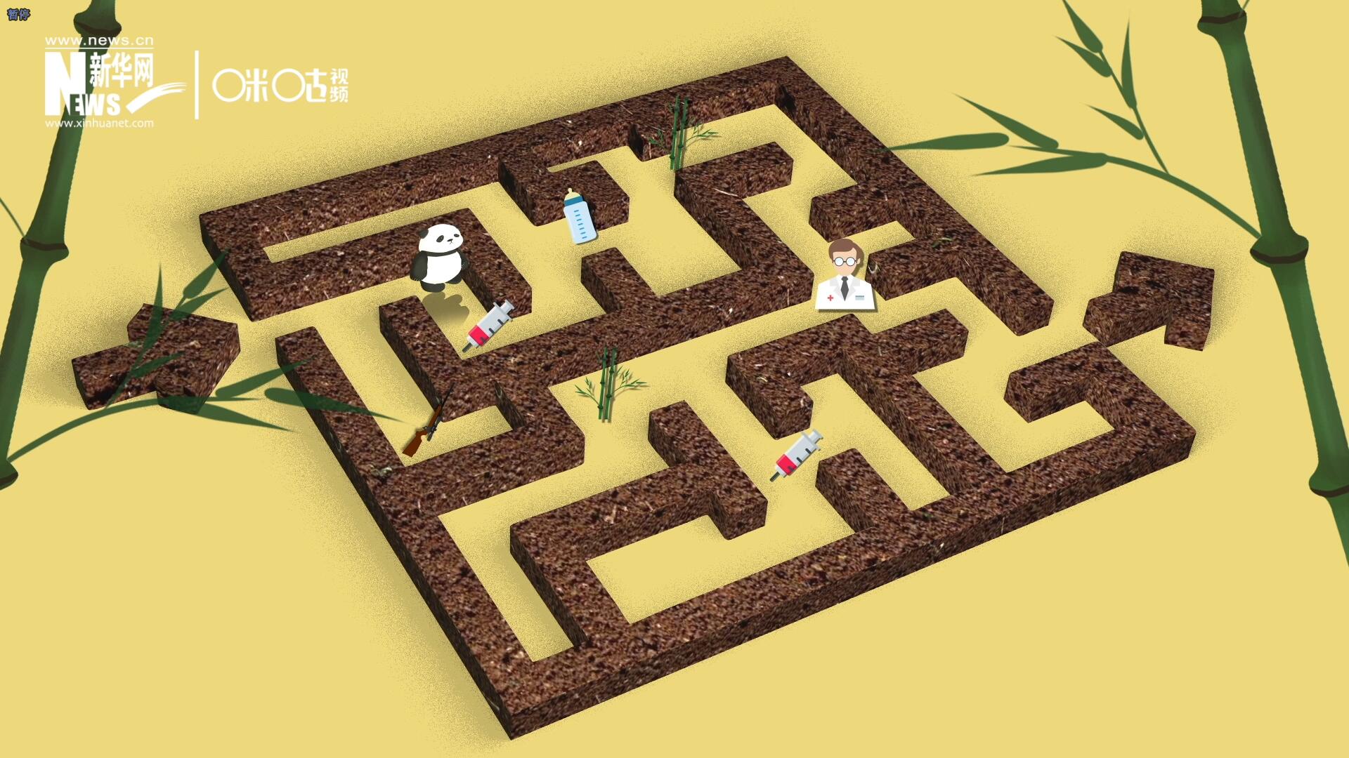 2016年，國際自然保護(hù)聯(lián)盟將大熊貓的物種瀕危等級，從&ldquo;瀕危&rdquo;下降到了&ldquo;易危&rdquo;。