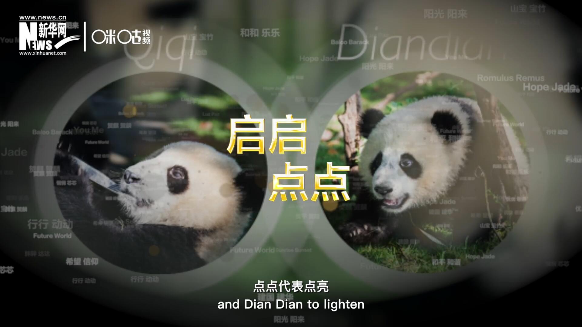 啟啟代表&ldquo;啟發(fā)&rdquo;，點(diǎn)點(diǎn)代表&ldquo;點(diǎn)亮&rdquo;，象征著2030年可持續(xù)發(fā)展議程 的&ldquo;起點(diǎn)&rdquo;，也象征著全球可持續(xù)發(fā)展路徑的新起點(diǎn)。