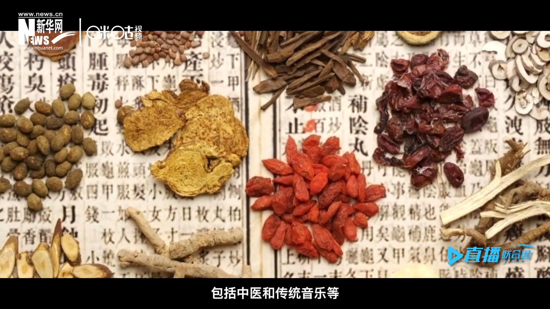 中國(guó)擁有的非遺資源種類極其豐富，包括中醫(yī)和傳統(tǒng)音樂(lè)等，這些都得到了很好的保護(hù)和傳播。