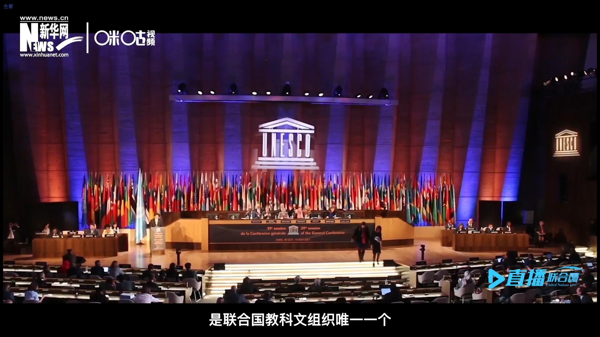 民間藝術(shù)國(guó)際組織成立于1979年，是聯(lián)合國(guó)教科文組織唯一一個(gè)以保護(hù)和挖掘國(guó)際民間藝術(shù)為工作中心的國(guó)際機(jī)構(gòu)。