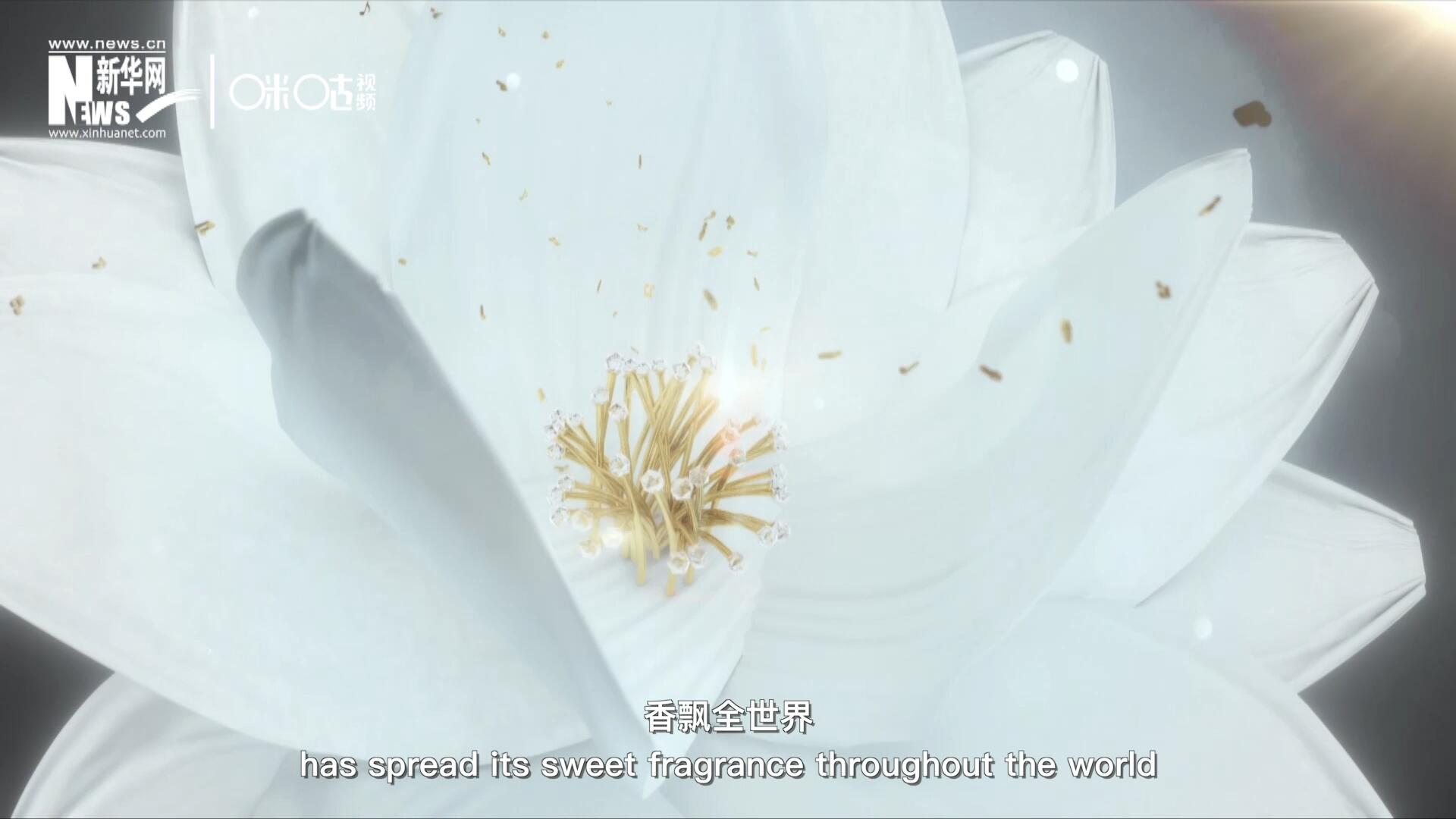 一朵茉莉花，香飄全世界。這首充滿民族特色的經(jīng)典旋律，在世界范圍內(nèi)廣為流傳，是極具辨識度的東方音樂符號。