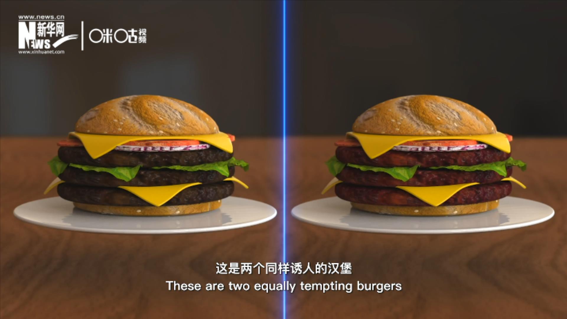 人造肉漢堡能在生產(chǎn)過(guò)程中節(jié)約水、土地、排放以及能量