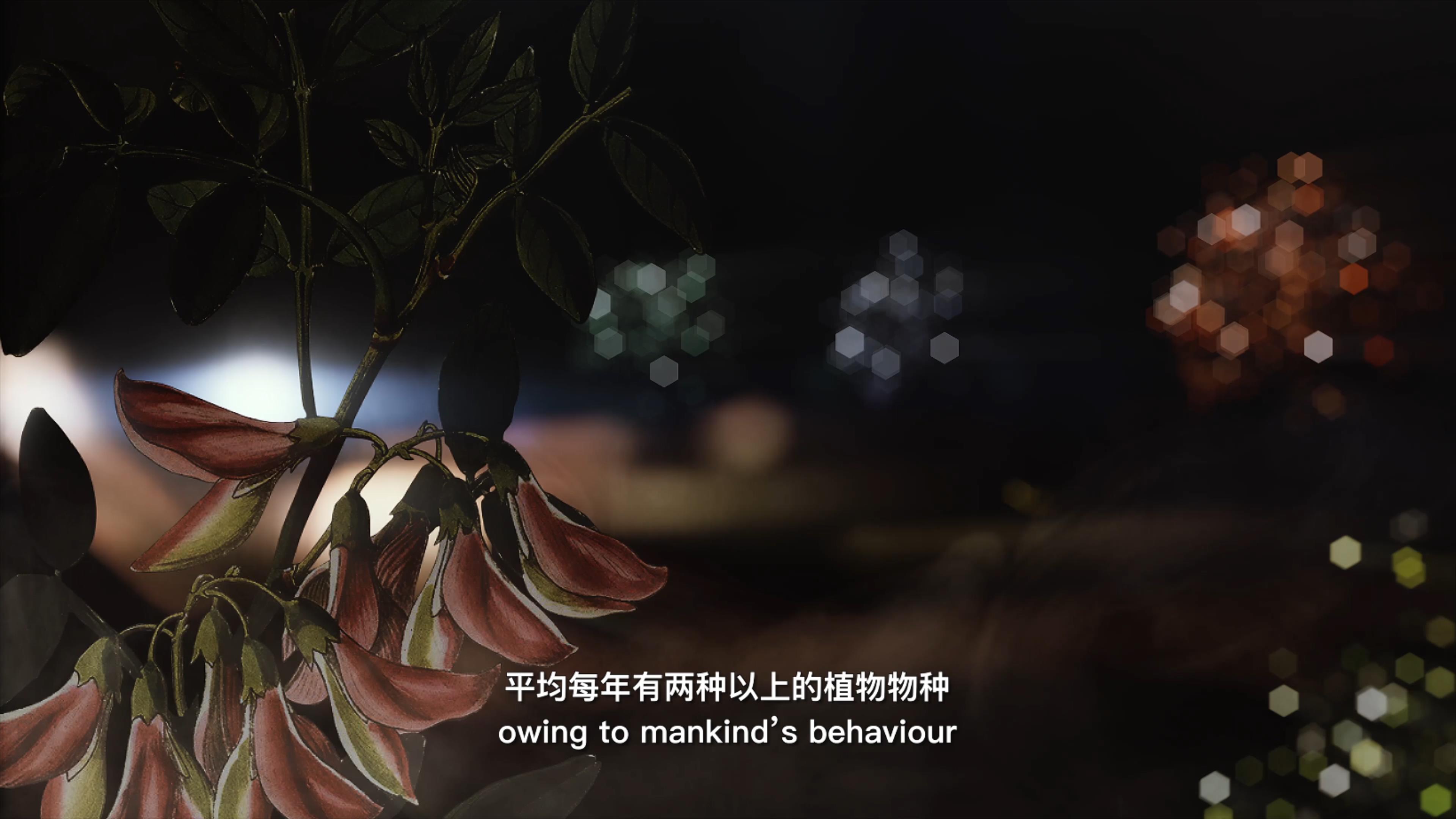 自18世紀(jì)中葉以來(lái)，許多植物物種因?yàn)槿祟?lèi)的原因而從地球上消失