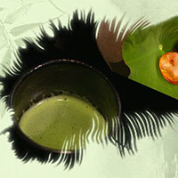 熱茶與伏天的關(guān)系，只有清涼