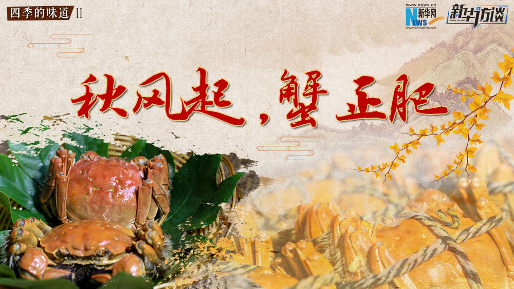 秋風起，蟹正肥