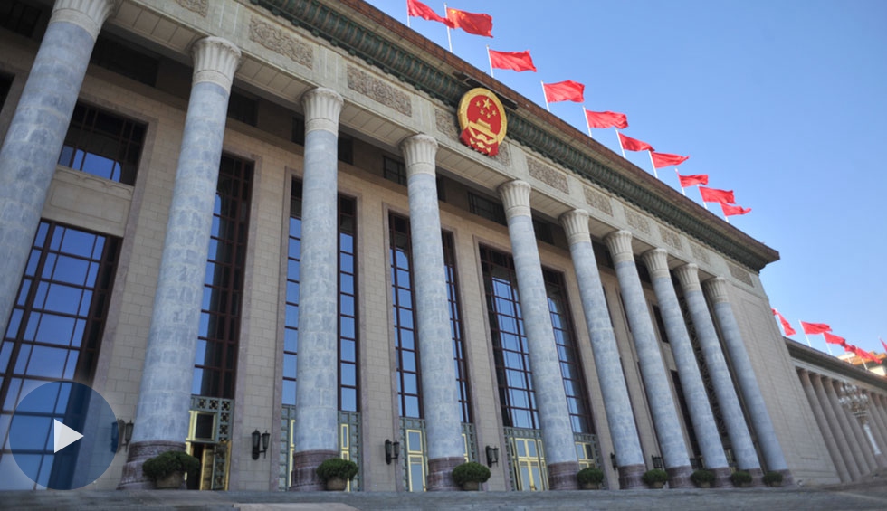 十三屆全國人大一次會議首場&ldquo;代表通道&rdquo;