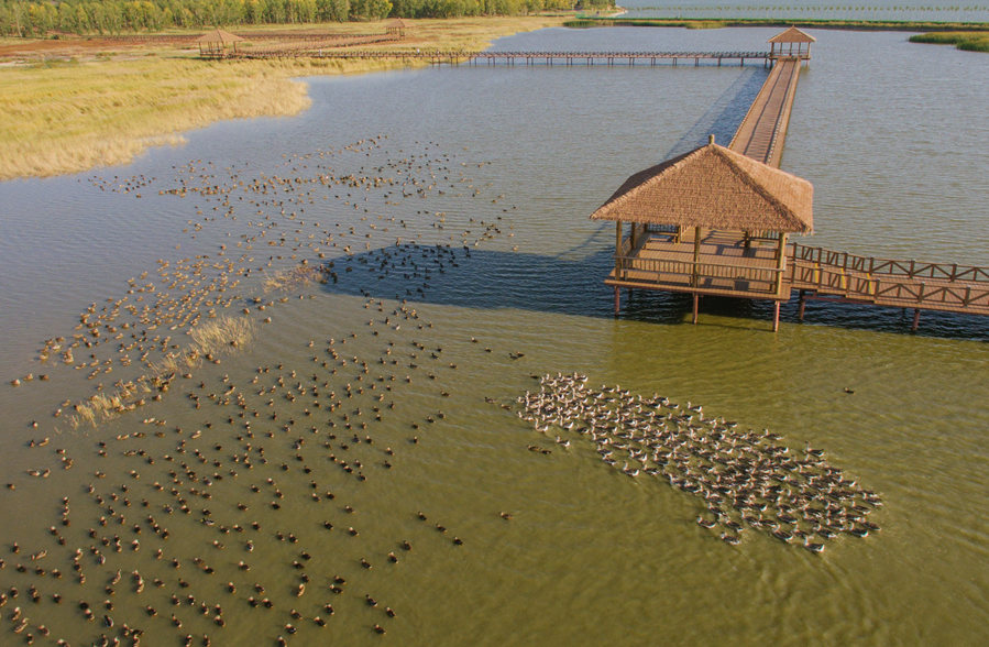 新華微評(píng)&middot;學(xué)習(xí)路上：生態(tài)興，百業(yè)旺