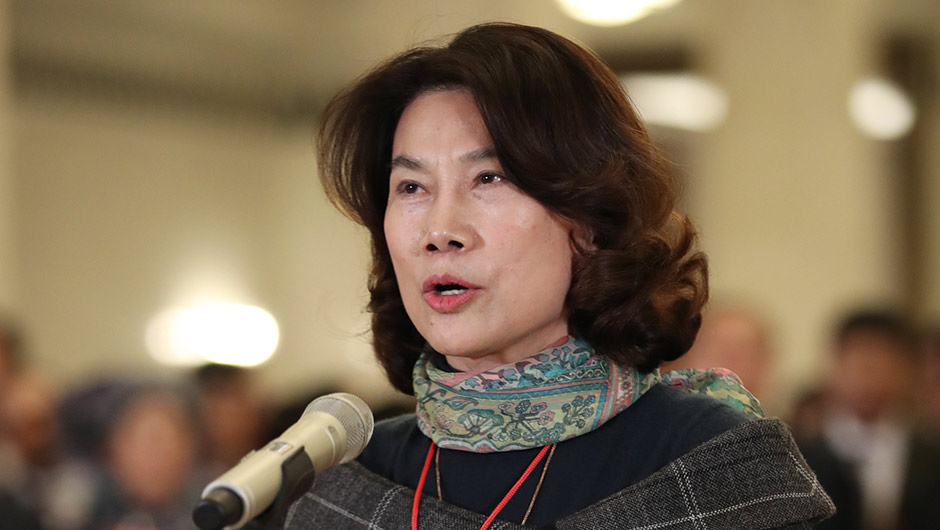 全國(guó)人大代表董明珠接受采訪(fǎng)