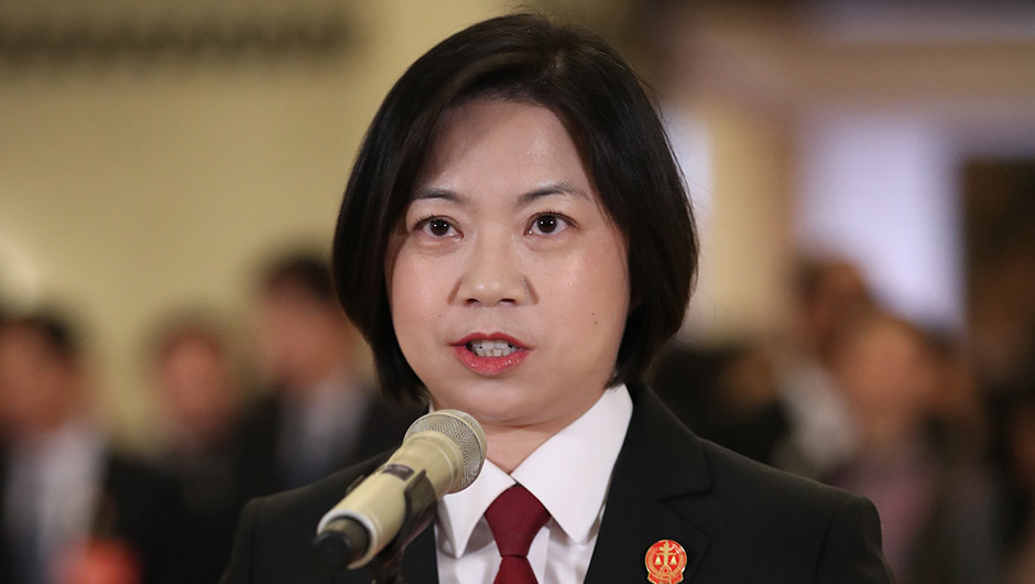 全國(guó)人大代表厲莉接受采訪(fǎng)