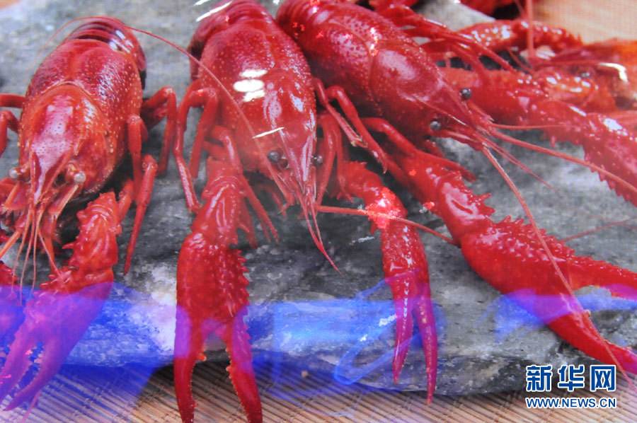 螺螄殼里做道場(chǎng)，小龍蝦吃出大產(chǎn)業(yè)