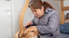 &ldquo;有你在身旁，真好&rdquo;