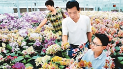 臺商眼中的改革開放：風(fēng)景這邊獨好 要去，要去，要去！