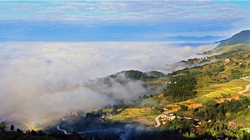 臺胞臺商熱議陜西惠臺&ldquo;60條&rdquo;：期盼落實、共享機遇