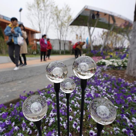 【畫(huà)重點(diǎn)】真假？！北京又要辦一場(chǎng)&ldquo;奧林匹克&rdquo;盛會(huì)