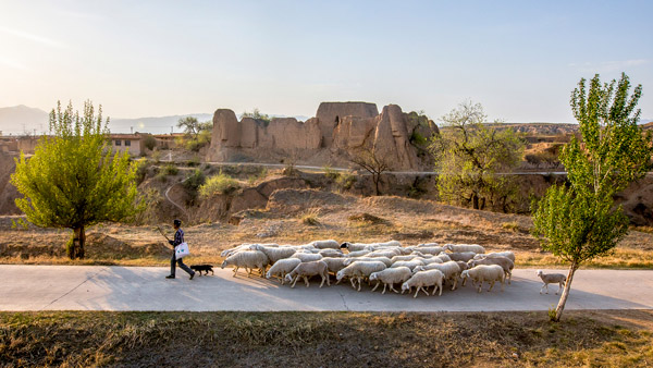 追夢足跡｜上馬圈：鐵馬冰河，黃土斑駁