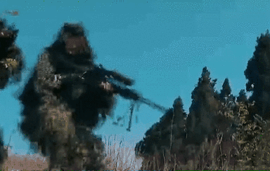 突入，擊斃！直擊武警特戰(zhàn)反劫持演練！