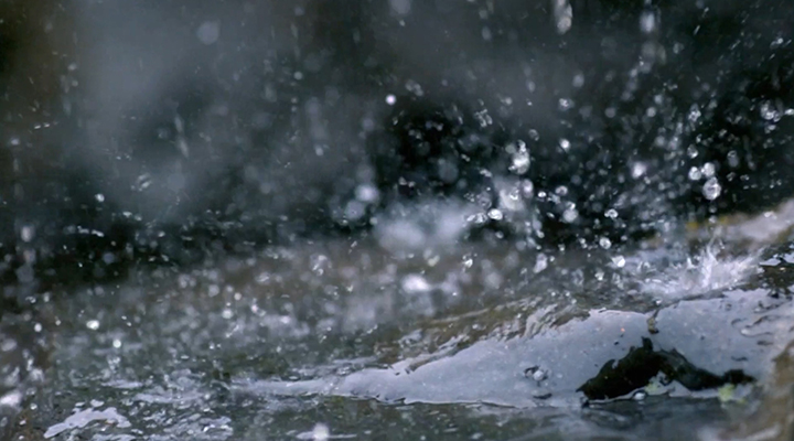 城市內(nèi)澇暴雨避險(xiǎn)指南來(lái)了！