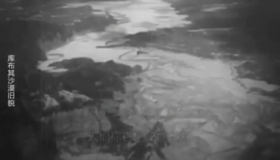 漠上花開！庫布其沙漠上演綠色奇跡