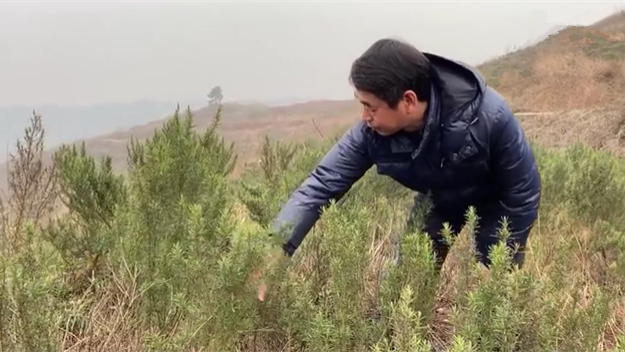 新春走基層｜脫貧后，駐村扶貧隊長在干啥？