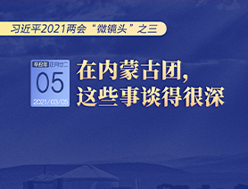 習(xí)近平2021兩會(huì)&ldquo;微鏡頭&rdquo;之三 3月5日 在內(nèi)蒙古團(tuán)，這些事談得很深