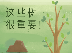 這些樹很重要！