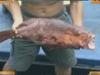 [新聞1+1] 走，南沙捕魚去！