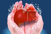 【健康解碼】轉氨酶正常肝臟就一定正常嗎？