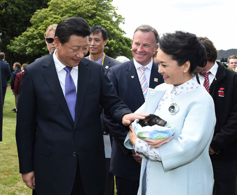 11月18日，國(guó)家主席習(xí)近平在澳大利亞塔斯馬尼亞州與朗塞斯頓市斯科奇－歐克伯恩小學(xué)的小學(xué)生共同植樹(shù)。這是習(xí)近平和夫人彭麗媛植樹(shù)后撫摸袋獾。新華社記者 馬占成 攝