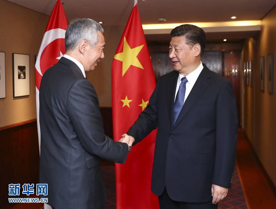 7月6日，國(guó)家主席習(xí)近平在漢堡會(huì)見(jiàn)新加坡總理李顯龍。 新華社記者謝環(huán)馳 攝